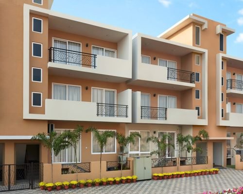 Central Park Flower Valley Flamingo Floors